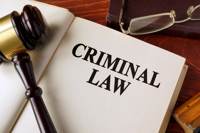 Criminal theft lawyer