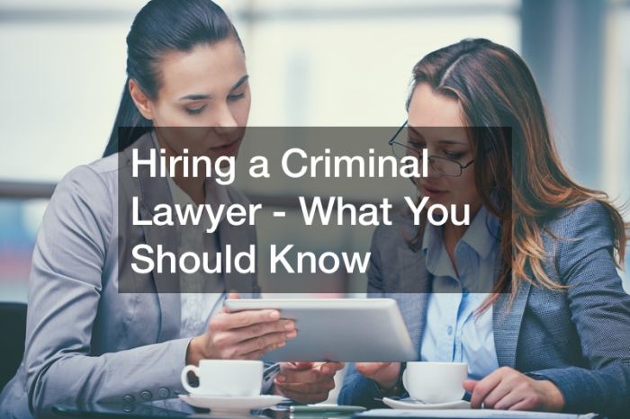 Lawyer criminal fees hiring singaporelegaladvice singapore