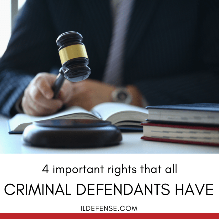 Criminal illinois basics fakhoury offices law