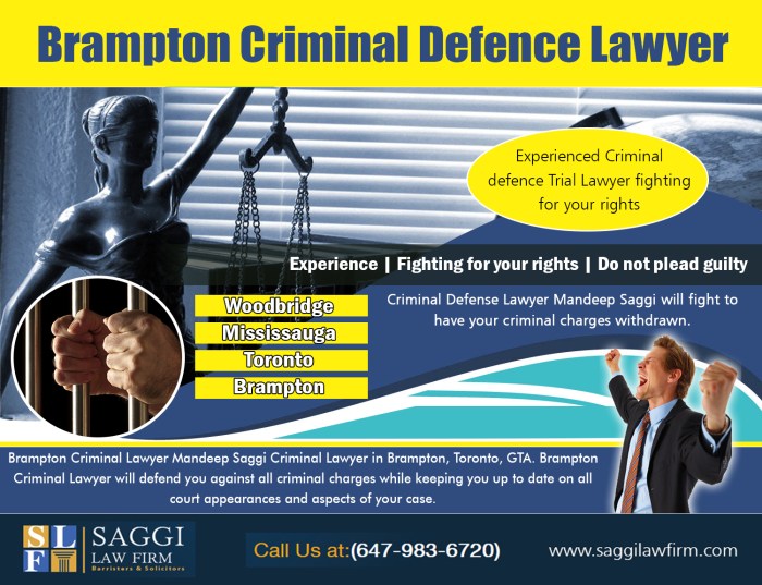 How much for a criminal lawyer