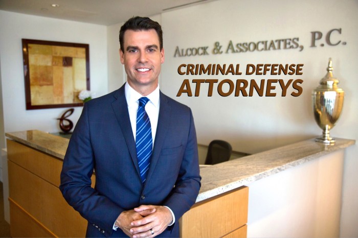 Best federal criminal defense lawyer