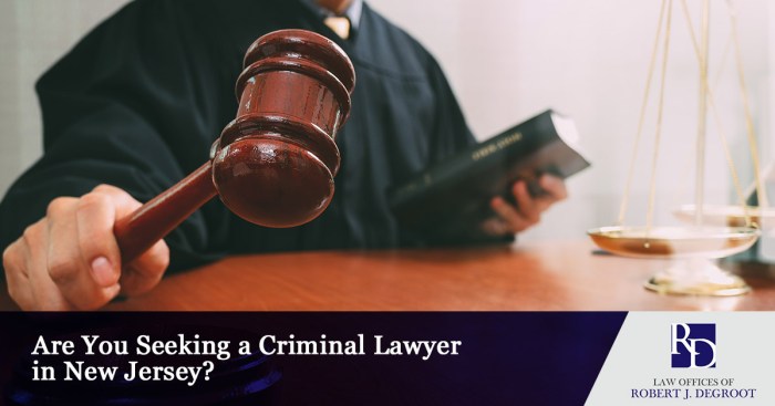 Freehold nj criminal lawyer