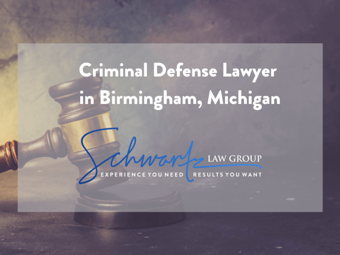 Birmingham criminal defense lawyer