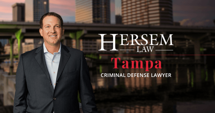 Tampa criminal lawyer