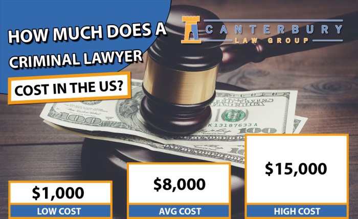 Criminal lawyer cost