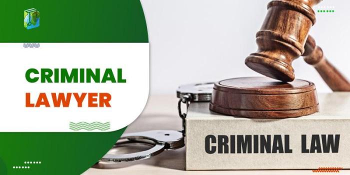 How to become a criminal lawyer