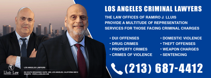 Criminal law lawyer los angeles