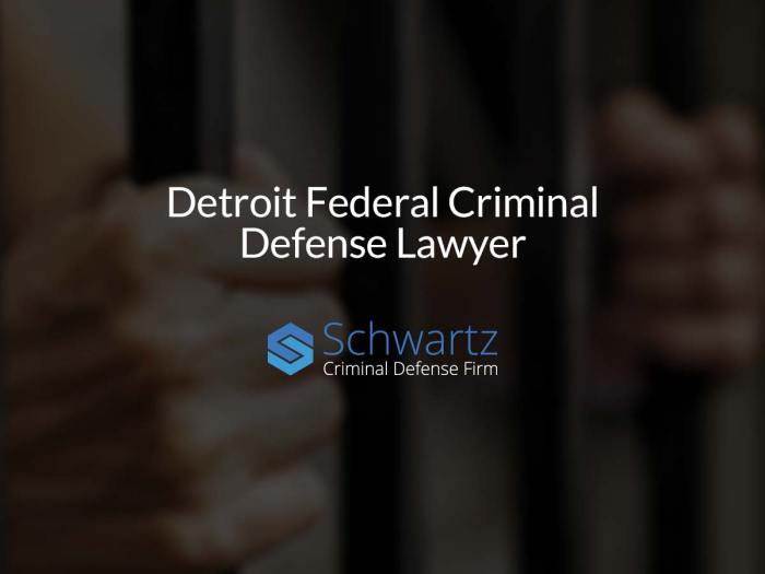 Detroit lawyers defense criminal kramer case lawyer named david