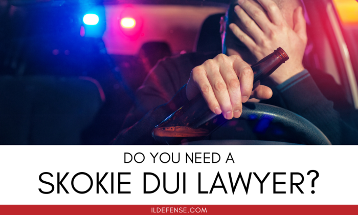 Criminal lawyer skokie il