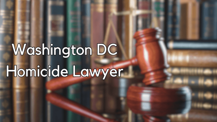 Chan attorney lawyer dc