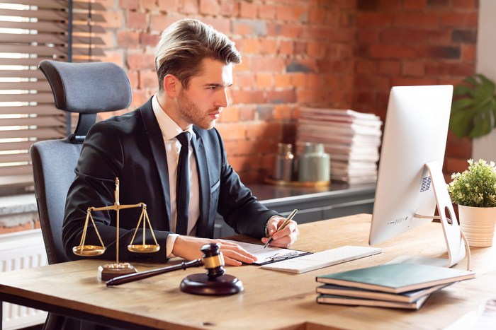 What is a criminal lawyer