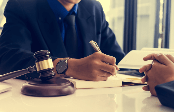 Criminal appellate lawyer