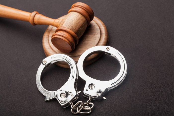 Criminal lawyer charges