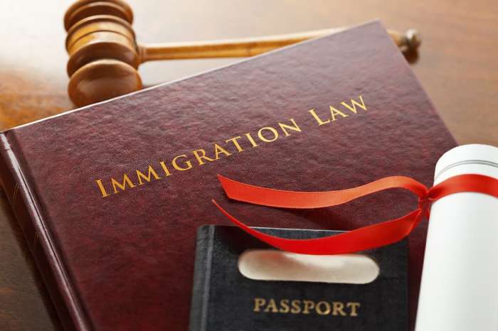 Criminal immigration lawyer