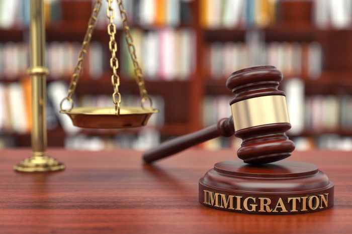 Criminal immigration lawyer