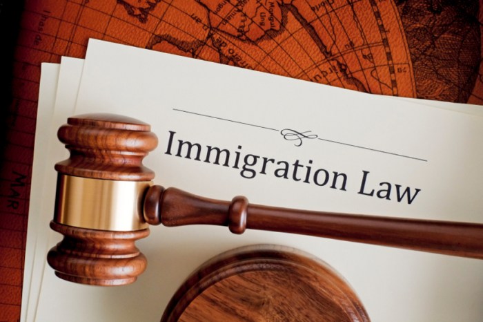 Immigration lawyer lawyers