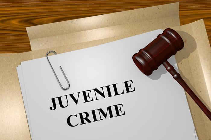 Juvenile criminal lawyer