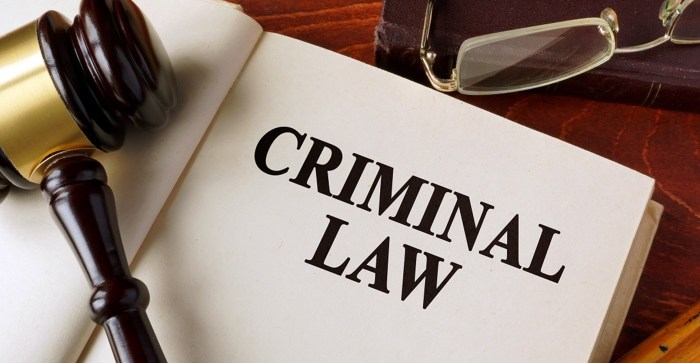 Criminal lawyer florida