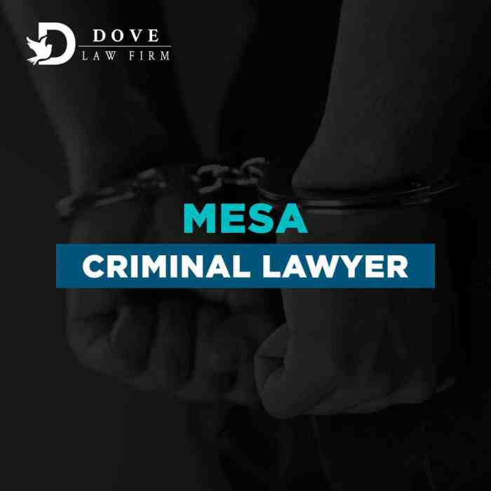 Criminal lawyer mesa