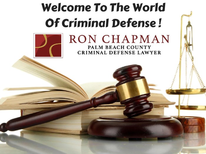 Palm beach county criminal defense lawyer