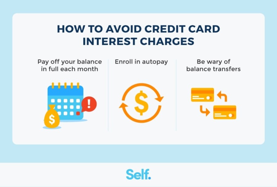Balance statement beginner bookkeeping